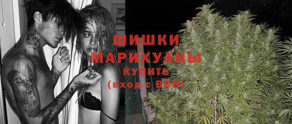 дмт Козельск