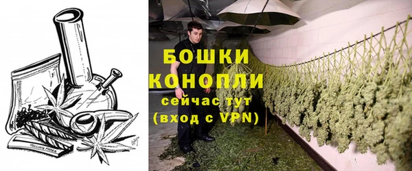 дмт Козельск