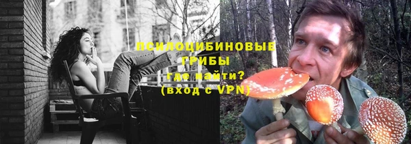 дмт Козельск