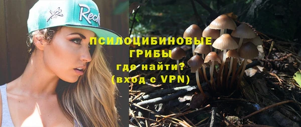 дмт Козельск