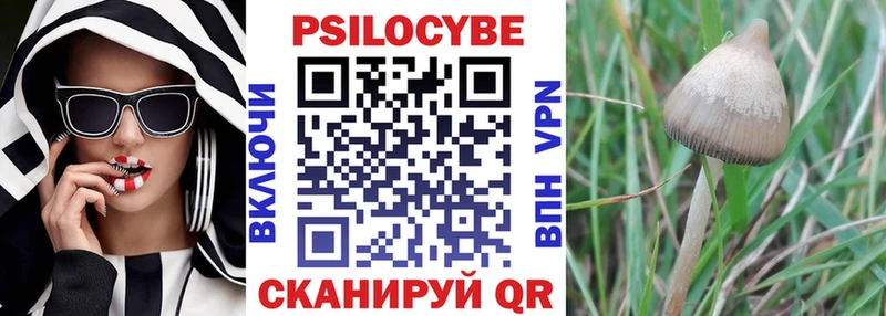 Купить где  Сухой Лог  Галлюциногенные грибы Magic Shrooms 